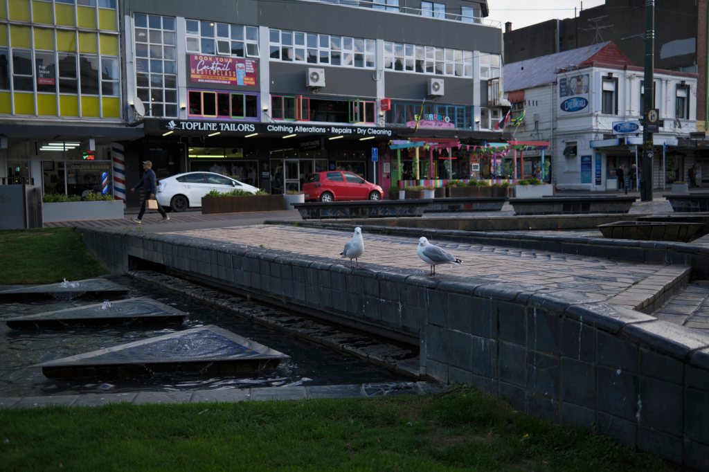 A street scene featuring two seagulls standing on a stone pathway near a fountain, with buildings and colorful shopfronts in the background.