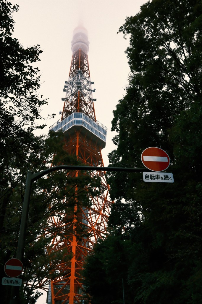 A tall orange communications tower surrounded by trees, partially shrouded in fog.