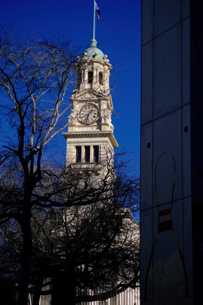 A clock tower with a copper dome and a flag on top, partially obscured by bare tree branches against a clear blue sky.