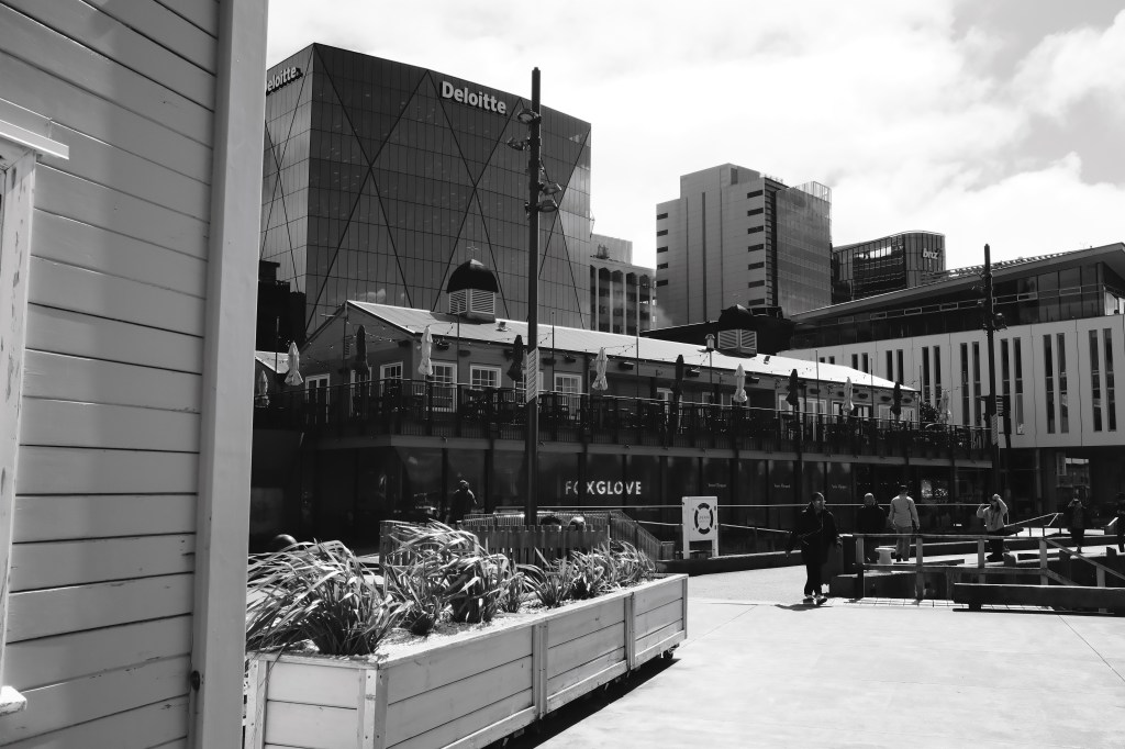 Black and white image of a downtown area featuring a modern glass building labeled 'Deloitte', historic-style buildings, and pedestrians walking along a waterfront pathway.